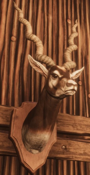 Antelope Head Trophy