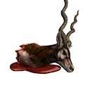 Antelope Head