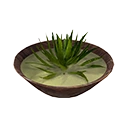 Aloe Soup
