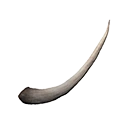 Ancient Rhino Horn