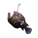 Anglerfish