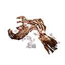 Bush Jerky
