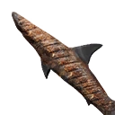 Cooked Dogfish