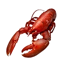 Cooked Exotic Shellfish
