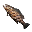 Cooked Grouper