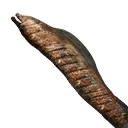 Cooked Moray Eel