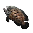 Cooked Savory Fish