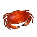 Cooked Savory Shellfish