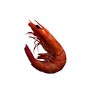 Cooked Shellfish