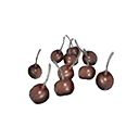 Dried Berries