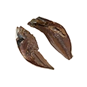 Dried Fish