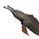 Exotic Fish