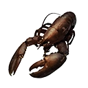 Exotic Shellfish