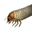 Fat Grub