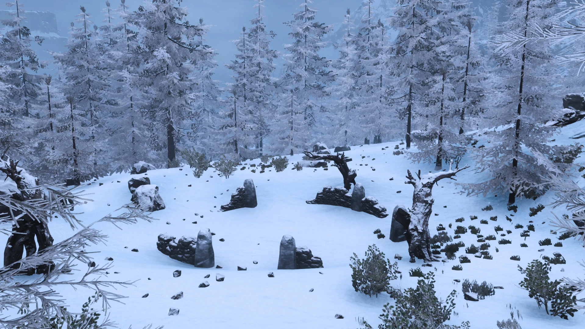 Bleakwood Ruins