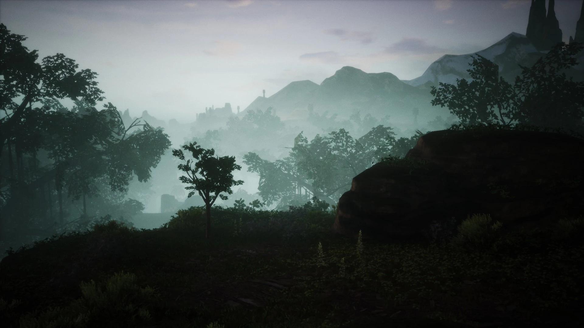 Canopy Outlook
