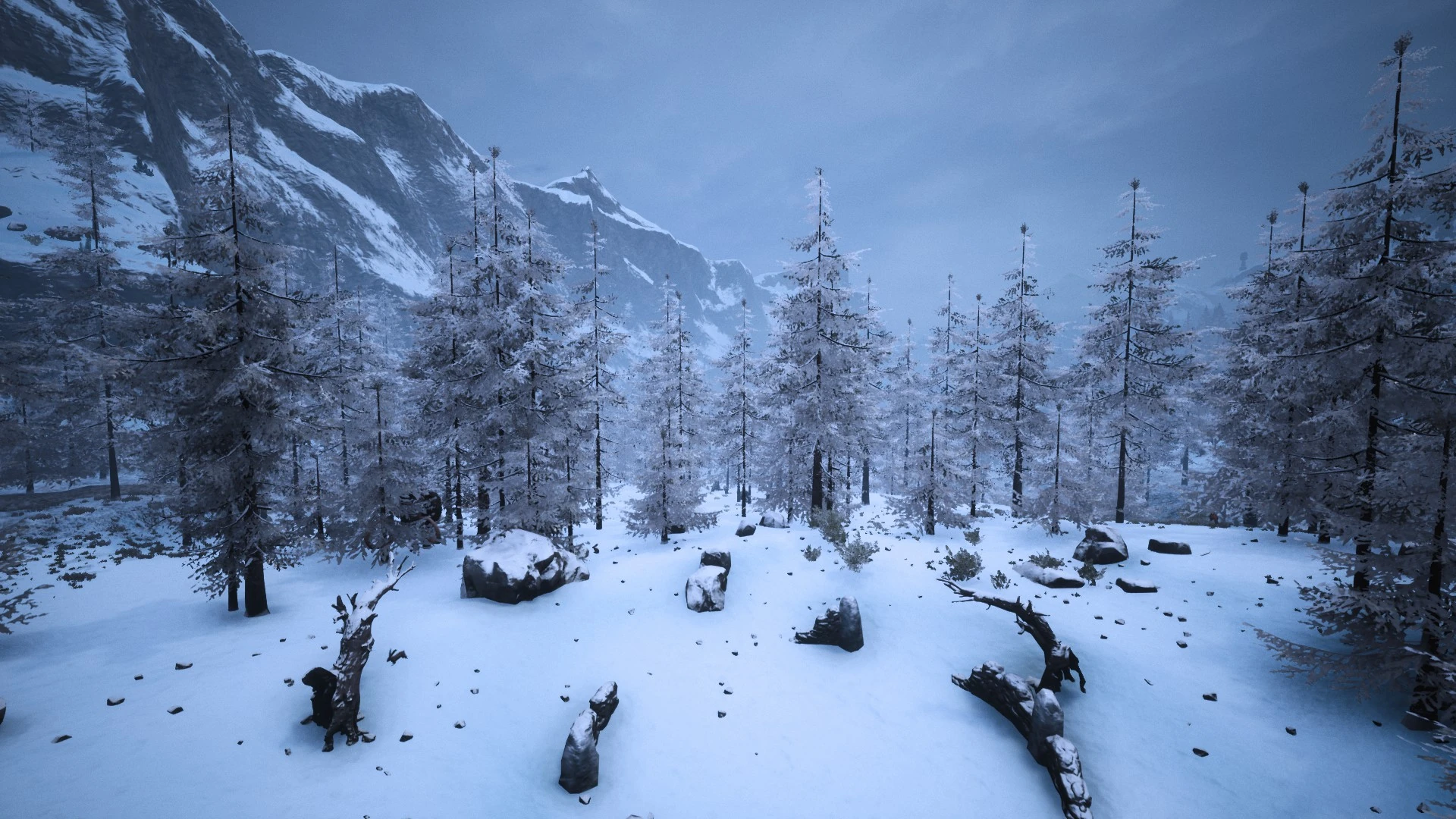 Frostneedle Forest